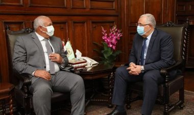 وزير الزراعة يبحث مع محافظ الوادي الجديد تنفيذ تكليفات القيادة السياسية خلال افتتاحات الصعيد