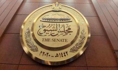 الشيوخ: قانون العمل الجديد يحقق الأمان الاجتماعي