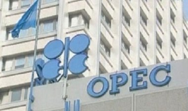 تحالف «أوبك بلس» يقرر استمرار الزيادة التدريجية لـ«إنتاج النفط»