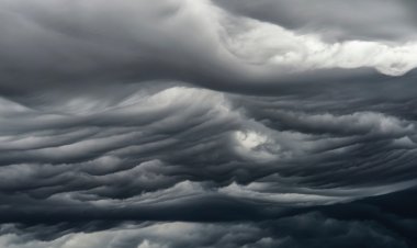 الأرصاد: الطقس شديد البرودة ليلا على كافة الأنحاء.. اليوم الأربعاء