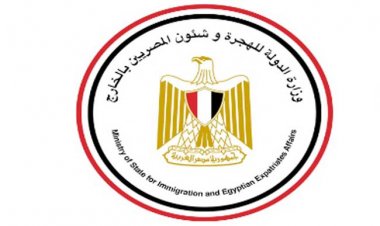 تعرف على شروط  أول تأمين على المصريين بالخارج