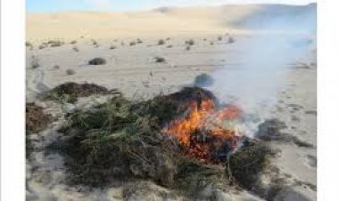 العثور على 4250 كيلو «بانجو» داخل مخازن بصحراء الإسماعيلية          