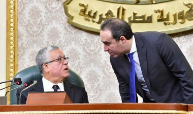 بعد موافقة مجلس النواب عليه.. تفاصيل مشروع قانون صندوق تحسين الأقطان المصرية