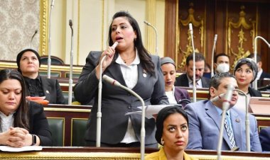 «صحة النواب» توصي باستكمال مخطط إنشاء مستشفى متكامل في حلوان