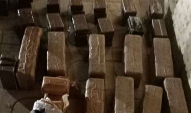 قيمته 2 مليون جنيه.. ضبط مسجل خطر بحوزته «حشيش» بالإسكندرية