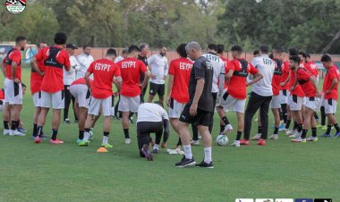 برنامج المنتخب بالكاميرون.. تدريبات منفردة للسولية وقيد مروان داود وإجراء مسحة جديدة 