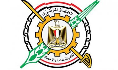 الإحصاء: الصين تحتل المرتبة الأولى من جملة واردات مصر