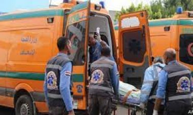 مصرع 8 أشخاص إثر سقوط سيارة فى الرياح  البحيرى بـ«قرية القطا» في منشأة القناطر