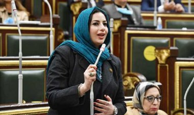 للاستفادة من مياه الأمطار.. «نائبة» تطالب بضرورة تطبيق نظام «الخزان المائي»