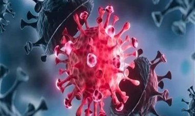 انخفاض الإصابات والوفيات.. «الصحة» تعلن بيان كورونا ليوم الثلاثاء