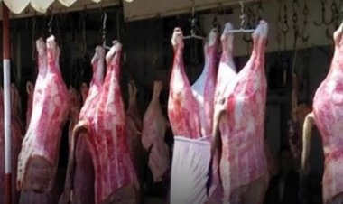 تعرف على أسعار اللحوم .. اليوم الأربعاء
