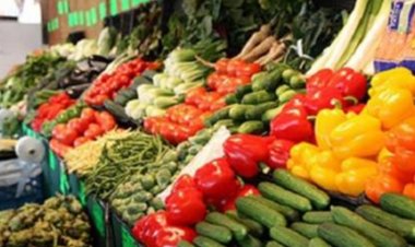 تعرف على أسعار الخضروات .. اليوم الأربعاء