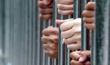 ضبط تشكيل عصابى بحوزته 30 كيلو بانجو وحشيش وشابو بالدقهلية