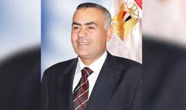 «نائب» يطالب بوضع خطة لجمع محصول القمح وتسهيل استلامه من «الفلاح»