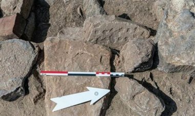 العثور على لعبة «نرد» عمرها «4000» عام في عمان