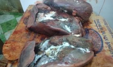 قبل توزيعها على المطاعم.. ضبط نصف طن «كبدة فاسدة» بالقاهرة