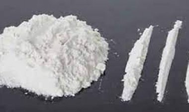 ضبط عاطل بتهمة الاتجار فى الهيروين بكفر الشيخ