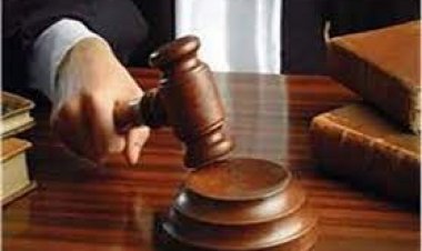 تأجيل محاكمة المتهمين  بـ«التخابر مع داعش»  لجلسة  15 فبراير المقبل