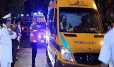 مصرع وإصابة 20 شخصا إثر انقلاب سيارة  ميكروباص قبل بوابة دهشور