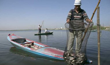 فجرت الغضب.. أزمة وقف إصدار بطاقات رقم قومي للصيادين تصل إلى البرلمان