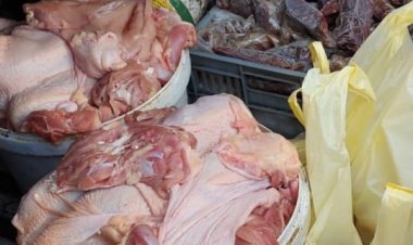 ضبط 25 طن سمك مجهول المصدر ولحوم «فاسدة» بالبحيرة