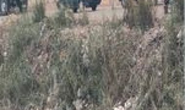 سقوط سيارة ملاكي بترعة المريوطية بالجيزة