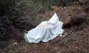 العثور على جثة «الدهشوري» مقتولًا ومهشم الرأس داخل «مشتل» في مصر القديمة