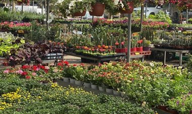 آلة حادة وآثار مقاومة.. تفاصيل مناظرت النيابة لموقع مقتل شاب بالقاهرة