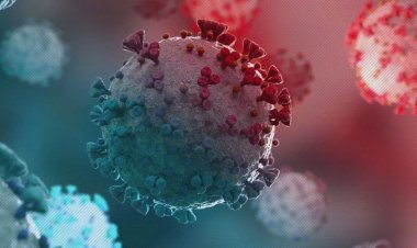 دراسة جديدة: كورونا يؤثر على خصوبة الرجال