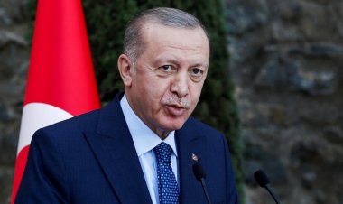 العقوبة تصل إلى السجن.. السلطات التركية تعتقل صحفية بتهمة «إهانة الرئيس»