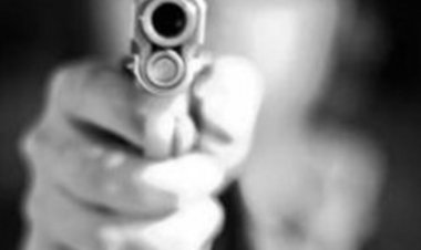 «بسبب سعر البطاطس» .. سيدة أمريكية تطلق النار على عاملة في مطعم