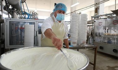 ضبط صاحب مصنع ألبان بحوزته 2 طن «مواد غذائية مغشوشة»