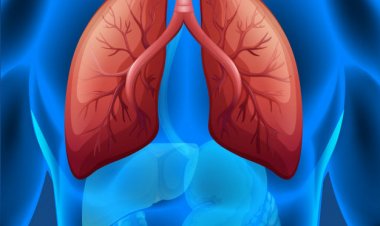 «يا ريت تقلل منها».. أطعمة تتسبب في ضعف وظائف «الرئة»