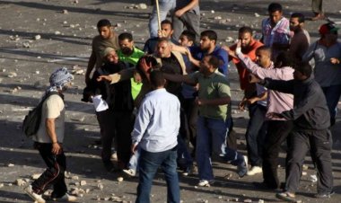 بسبب سرقة طائر.. الحقيق مع المتهم بالاعتداء على شاب في مشاجرة بالقاهرة