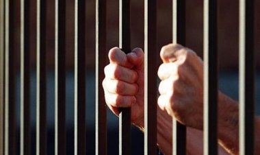 شك في سلوكها.. السجن المؤبد للمتهم بقتل «ابنة خالته» في الجيزة