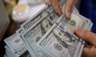 قيمتها 5 ملايين جنيه.. ضبط شخص تاجر بمدخرات المصريين في الخارج بأسيوط