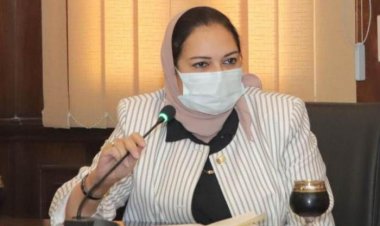 «برلمانية» تتقدم بطلب إحاطة بشأن استمرار استيراد مكونات مركبات «التوك توك»