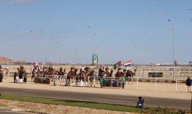 بالصور.. محافظ جنوب سيناء يشهد الاحتفال بالعيد الثانى لمضمار شرم الشيخ لـ «الهجن الدولى»