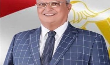 عضو بـ«الشيوخ» يكشف مكاسب زيارة الرئيس السيسي للإمارات