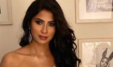 تعرف على سعر فستان روبي في «Joy Awards»