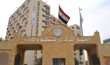 حقيقة استغناء الدولة عن آلاف الموظفين بعد التوسع في تطبيق التحول الرقمي