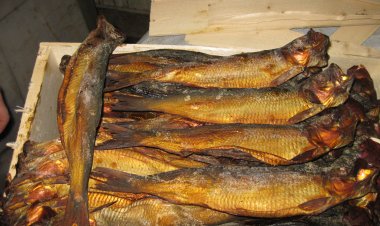 ضبط طن ونصف «رنجة» داخل مصنع بدون ترخيص بـ«إيتاي البارود»