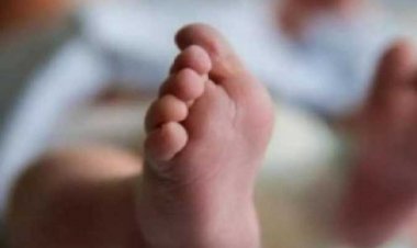 القبض على سيدة متزوجة وعشيقها بعد إلقاء جثة طفلها بالشارع بـ«15 مايو»