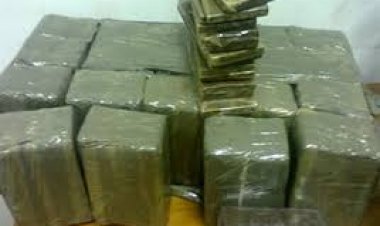 ثمنها 3 ملايين جنيه.. إحباط تهريب 300 «طربة حشيش» بقناة السويس