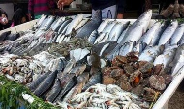 بعض الأنواع سجلت انخفاضًا.. أسعار السمك في الأسواق اليوم الإثنين