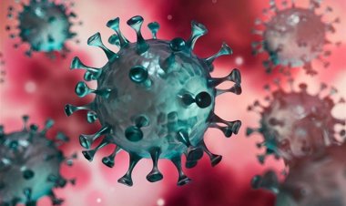 البنك الدولي:  التأمين ضد الخسائر يساعد البلدان على استعادة النمو