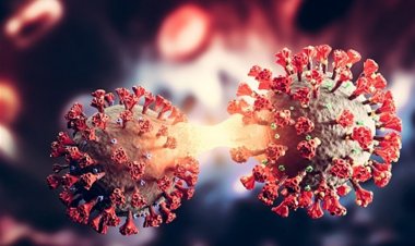 1322 حالة جديدة.. تفاصيل بيان كورونا ليوم الثلاثاء