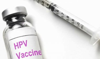 مدير «الحق في الدواء» لـ«العاصمة»: مصر تسلمت لقاح مرض سرطان البلعوم  وعنق الرحم