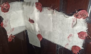 غلق وتشميع مركز طبي متخصص بالمحلة الكبرى لمخالفته المعايير