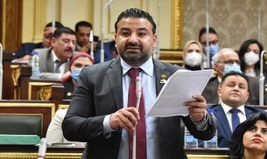 النائب محمد سلطان: الانفجار السكانى يعد تحديا حقيقيا أمام الدولة